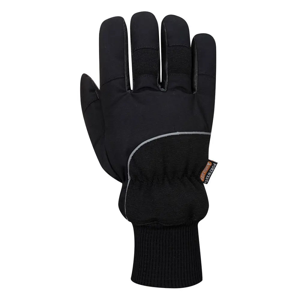 Portwest Apacha Cold Store Glove - L
