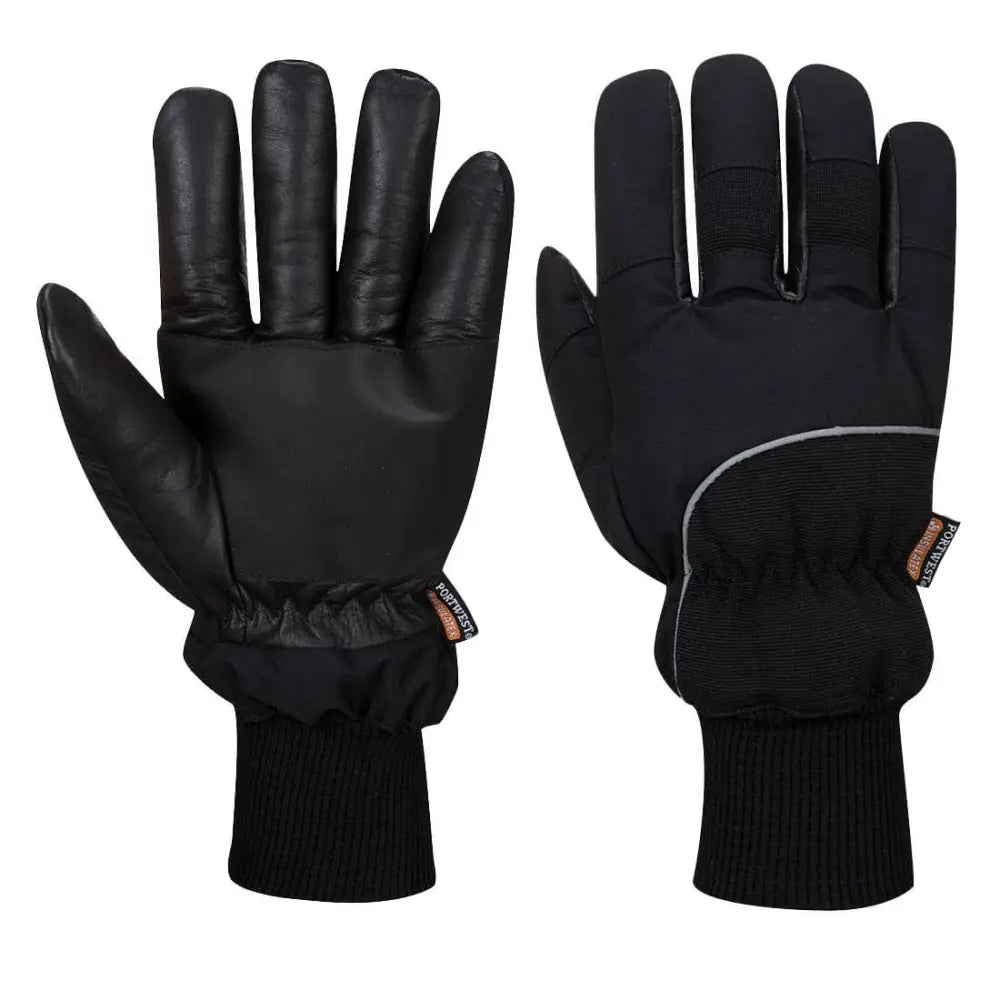 Portwest Apacha Cold Store Glove - L